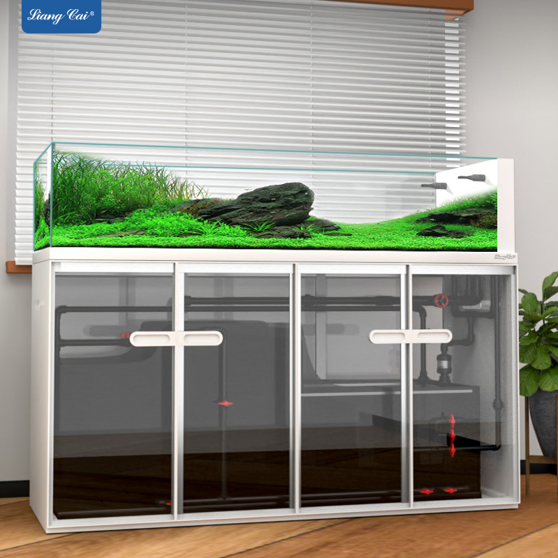 Grand réservoir de poissons en - Aquarium Marine Fish For Sale avis et prix