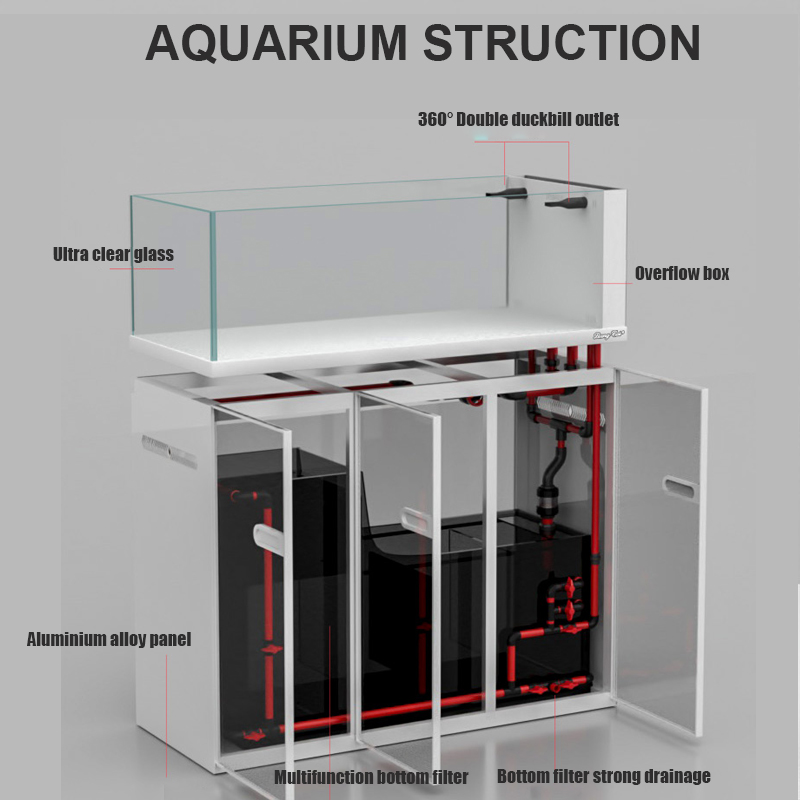 Grand réservoir de poissons en - Aquarium Marine Fish For Sale avis et prix