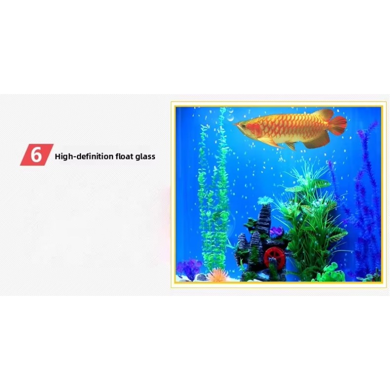 Grand aquarium pour poissons d - Aquarium Marine Fish For Sale avis et prix