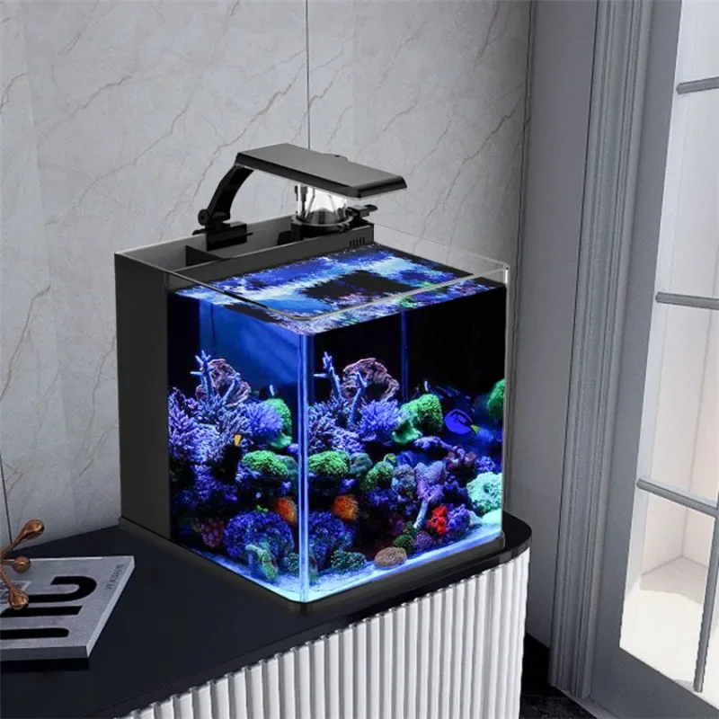 Ventes chaudes, mini aquarium  - Aquarium Marine Fish For Sale avis et prix