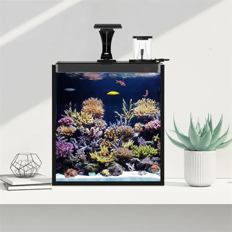 Ventes chaudes, mini aquarium  - Aquarium Marine Fish For Sale avis et prix