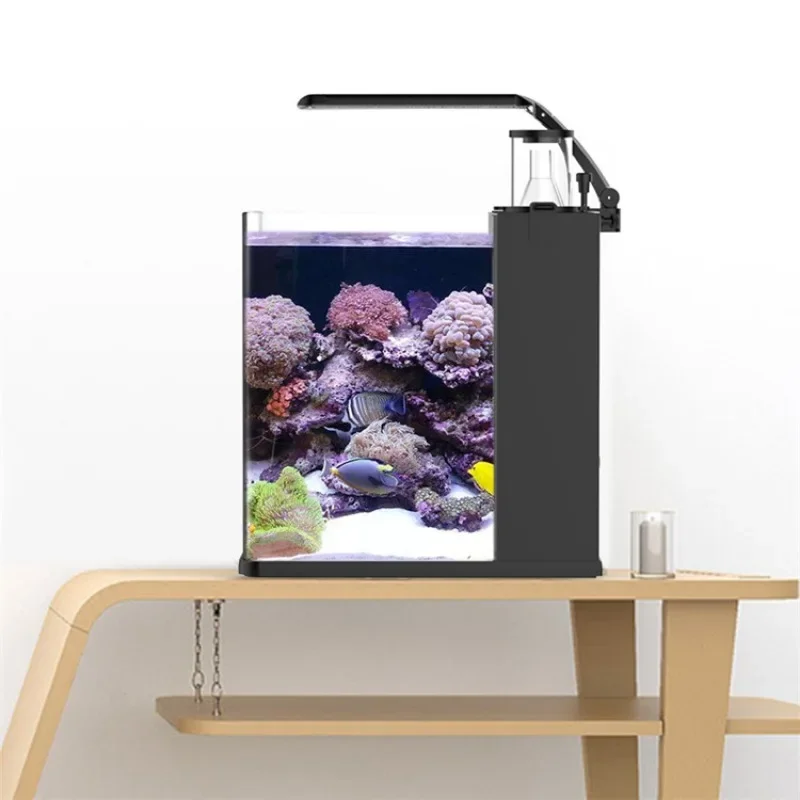 Ventes chaudes, mini aquarium  - Aquarium Marine Fish For Sale avis et prix